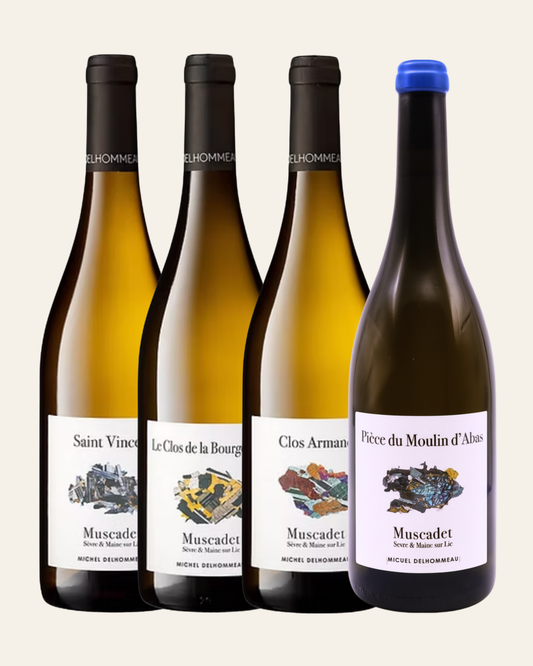 Michel Delhomeau - intro