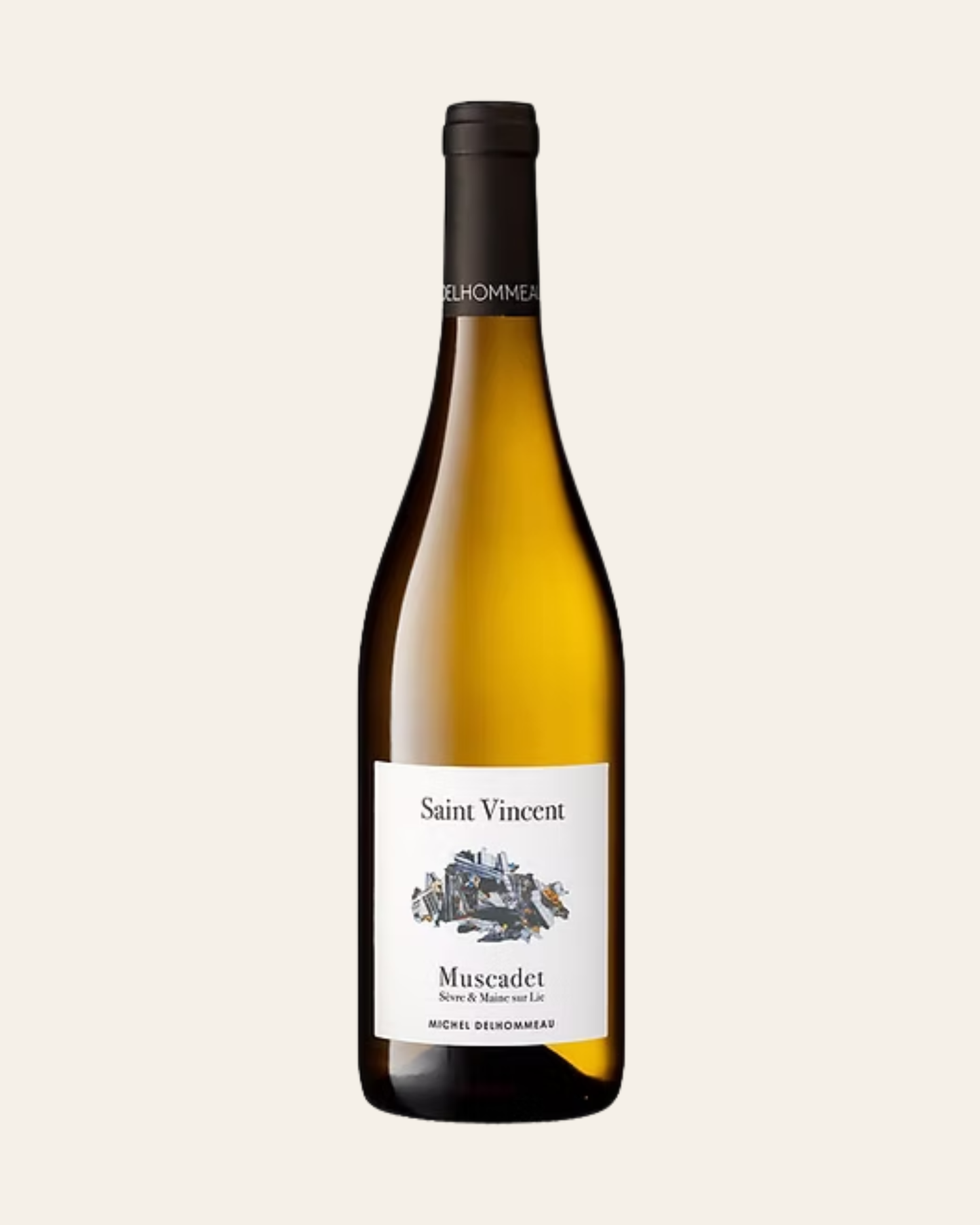 Michel Delhomeau - Saint Vincent